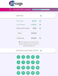 20 Cogs Earnings